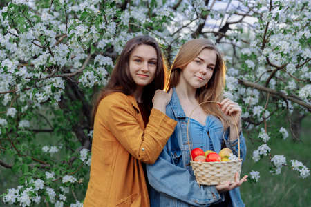 Two beautiful young girls are standing in an Apple orchard. The trees are covered with white flowers and young foliage. In the hands of the girl a basket with red ripe apples. They have smiles.の写真素材