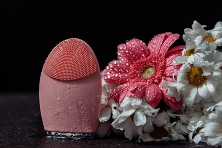 The face massager stands in drops of water. Nearby are daisies and pink gerbera. There are drops of water on everything. The background is dark wood.の写真素材
