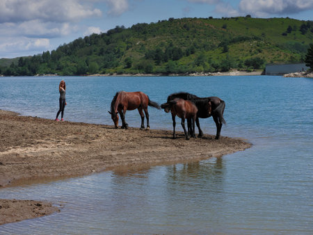 young female with horses close to lake, Giacopiane lake in Borzonascaの写真素材