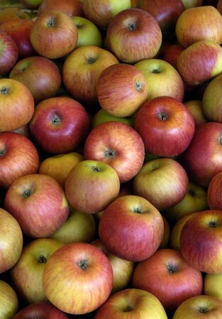 stall of apples at the marketの写真素材