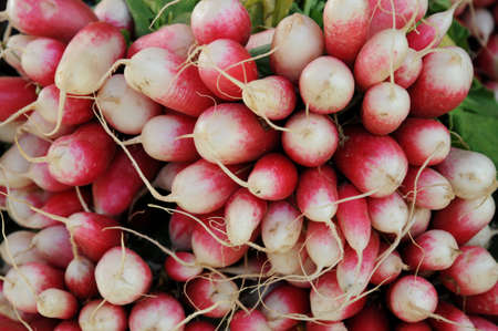 stall of radishes at the marketの写真素材