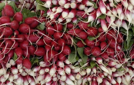stall of radishes at the marketの写真素材
