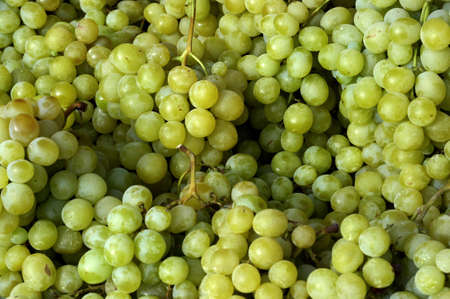 grape at the marketの写真素材