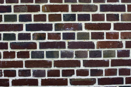 brick wallの写真素材