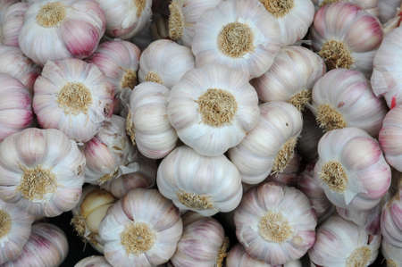 stall of garlic at the marketの写真素材