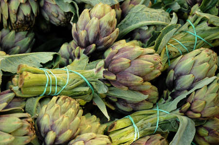 artichokesの写真素材