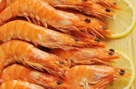 shrimpsの写真素材