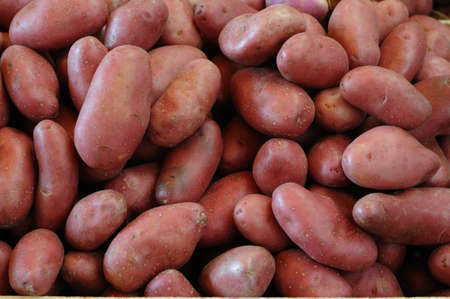 potatoesの写真素材