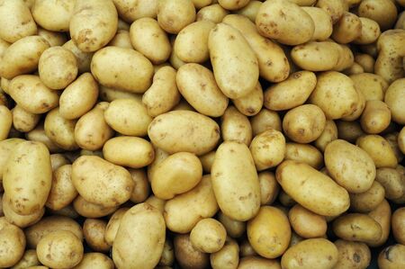 potatoesの写真素材