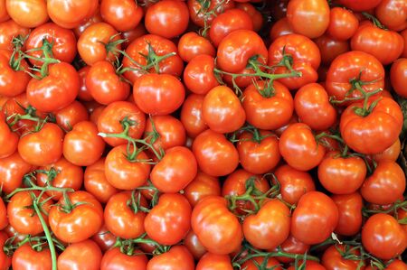 stall of tomatoes at the marketの写真素材