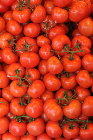 stall of tomatoes at the marketの写真素材