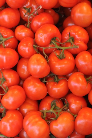 stall of tomatoes at the marketの写真素材