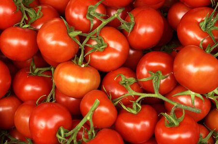 stall of tomatoes at the marketの写真素材