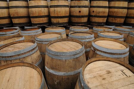 France, barrels of Bordeaux wine