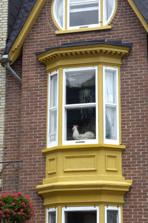 windowの写真素材