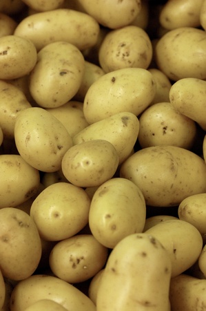 potatoesの写真素材