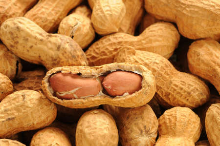 close-up of some peanuts