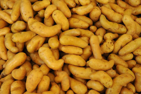 potatoesの写真素材