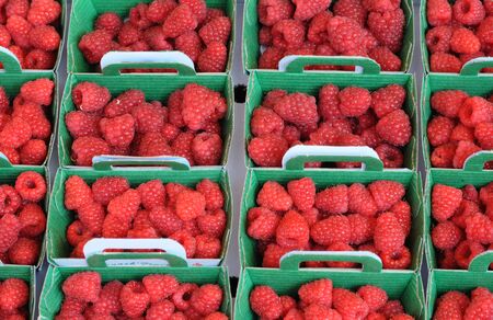 stall of raspberries on the marketの写真素材
