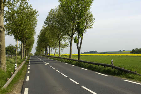small road in the country