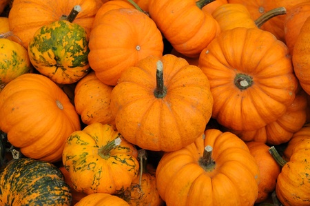 small pumpkin in a basketの写真素材