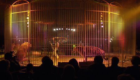 animal trainer in a circusのeditorial素材