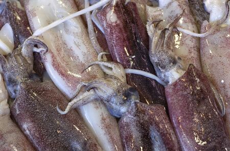 stall of calamari on the marketの写真素材