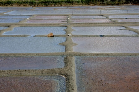 France, the salt evaporation pond in Guerandeのeditorial素材
