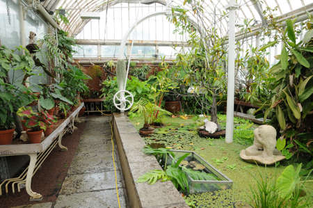 the garden of Tradgardsforeningen in Gothenburgのeditorial素材