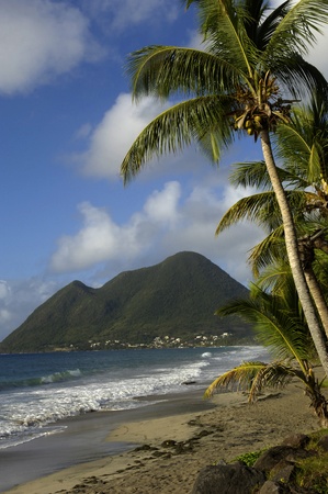 the coast of  Le Diamant in Martiniqueの写真素材