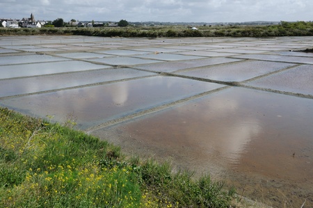 France, the salt evaporation pond in Guerandeのeditorial素材