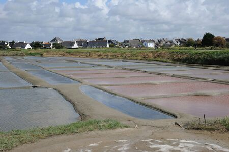 France, the salt evaporation pond in Guerandeのeditorial素材