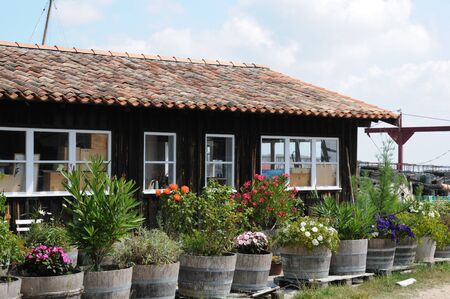 France, old house in L Herbe in Bassin d Arcachonのeditorial素材