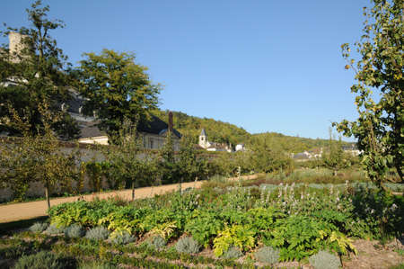 France, castle of La Roche Guyon, horizontal pictureのeditorial素材