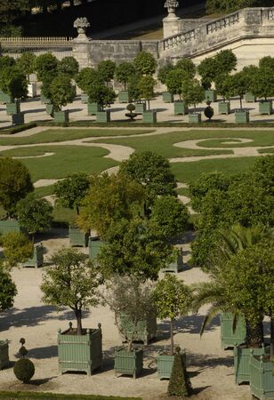 garden of the Versailles palace Orangeryのeditorial素材