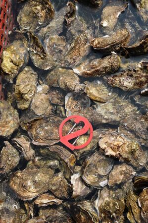 France, culture of oyster in Cap Ferretの写真素材