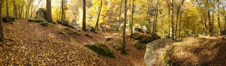 France, Les Vaux de Cernay in Chevreuse valleyの写真素材