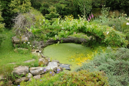 France, le Jardin de l Atelier in Perros Guirecの写真素材