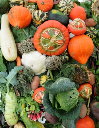 France, close up of an assortment of different vegetableの写真素材