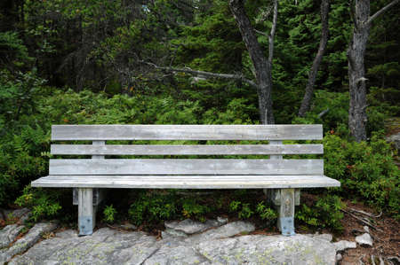 Canada, Quebec, a bench in a forestの写真素材