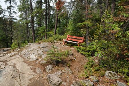 a bench in the Parc de la Caverne Trou de la Fee in Desbiensの写真素材