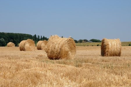 France, straw bales  in Brueil en Vexin