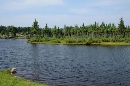 Canada, Quebec,  old owen in the Saint Felicien zooのeditorial素材