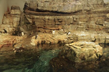 Canada, Quebec, the biodome of Montrealの写真素材