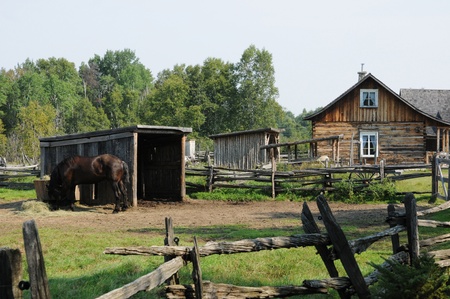 Canada, Quebec, the Saint Felicien zooのeditorial素材
