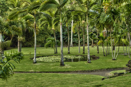France, the picturesque Habitation Anse Latouche garden in Martiniqueの写真素材