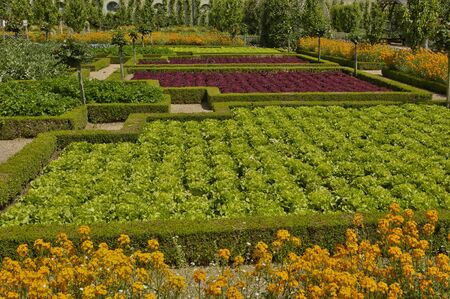 France, the Villandry castle in Val de Loireのeditorial素材