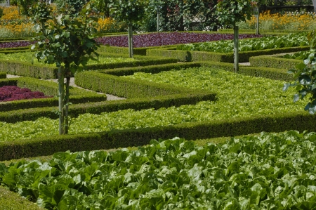 France, the Villandry castle in Val de Loireのeditorial素材
