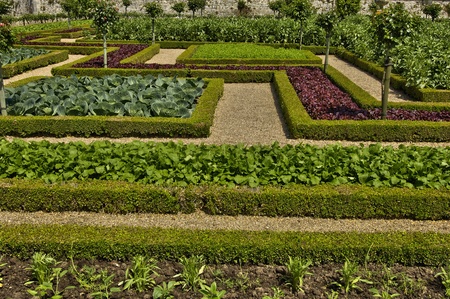 France, the Villandry castle in Val de Loireのeditorial素材