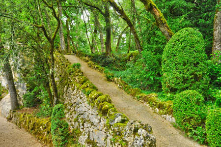 France, the picturesque garden of Marqueyssac  in Dordogneの写真素材